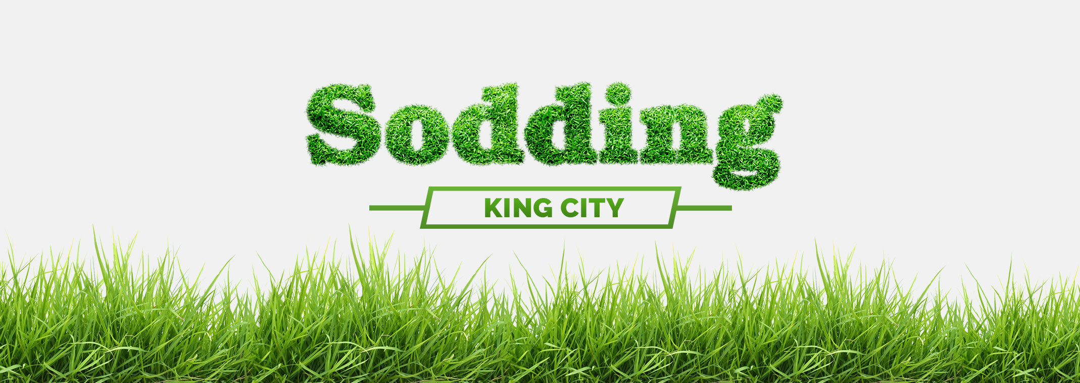 Sodding King City